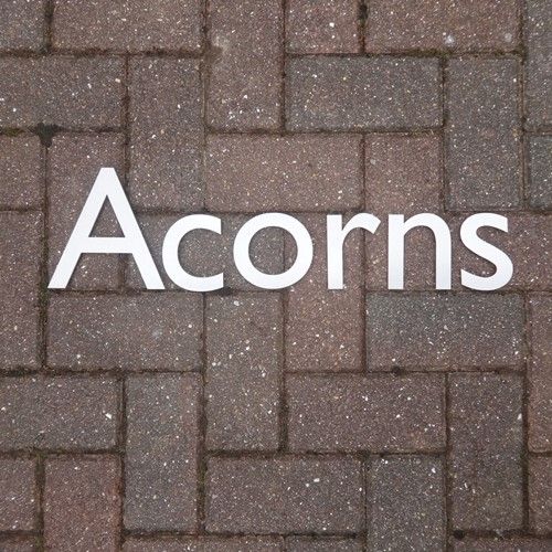 Stainless steel lettering , Metal letters , individual lettering , business signage , Hand finished signs , custom letters , custom signage