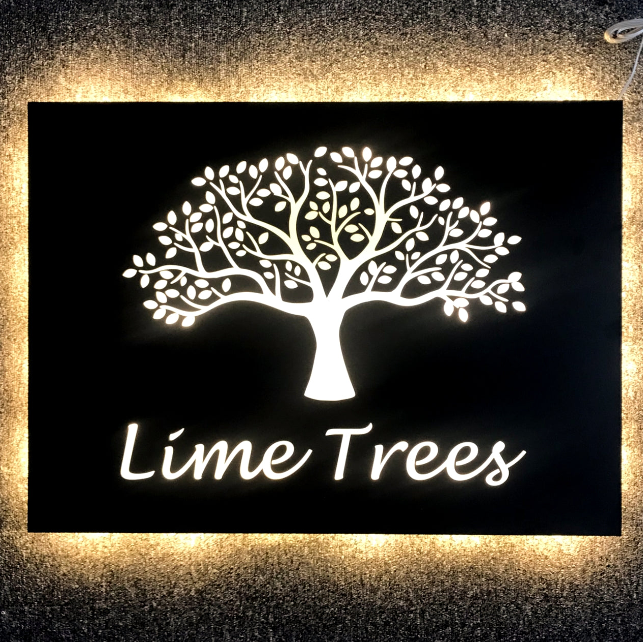 LED House Name, LED House Sign, LED Sign, Light up Sign, LED House Sgin, Warm wHite LED House Sign, Bespoke House Sign, House Name in Stainless Steel, Stainless Steel LED Sign, Sign for unlit areas, House Name, Custom Made House Name